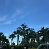 milosblue